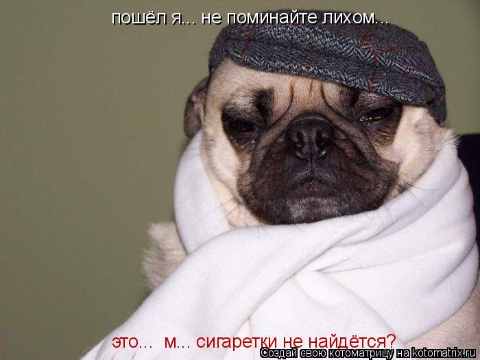 Котоматрица: пошёл я... не поминайте лихом... это...  м... сигаретки не найдётся?