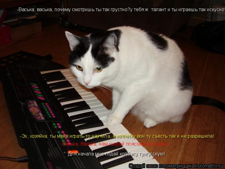 Котоматрица: -Васька, васька, почему смотришь ты так грустно?у тебя ж  талант и ты играешь так искусно? -Эх, хозяйка, ты меня играть-то научила, а котлетку в