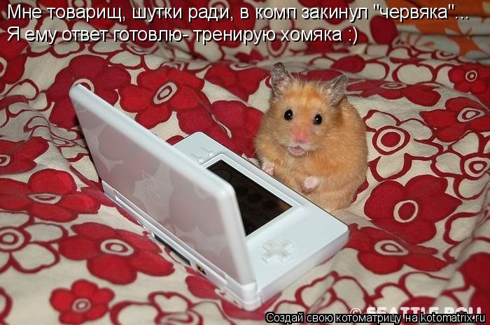 Мне товарищ, шутки ради, в комп закинул "червяка"... Я ему ответ готовлю- тренирую хомяка :)... Котоматрица: Мне товарищ, шутки ради, в комп закинул "червяка"... Я ему ответ готовлю- тренирую хомяка :)