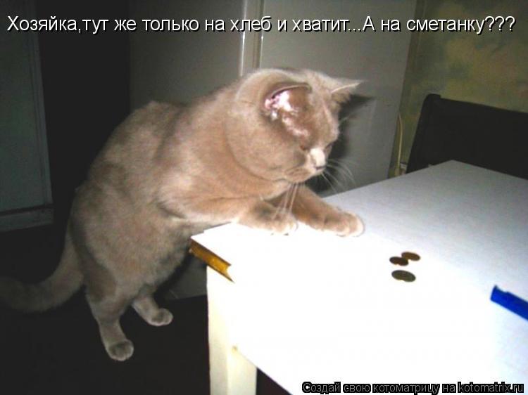Котоматрица: Хозяйка,тут же только на хлеб и хватит...А на сметанку???