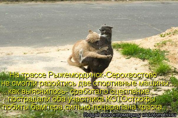 Котоматрица: На трассе Рыжемординск-Серохвостово не смогли разойтись две спортивные машины... ...как выяснилось- сработало сцепление... ...пострадали оба у