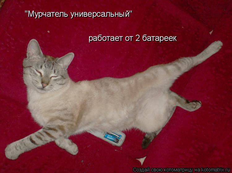 Котоматрица: "Мурчатель универсальный" работает от 2 батареек