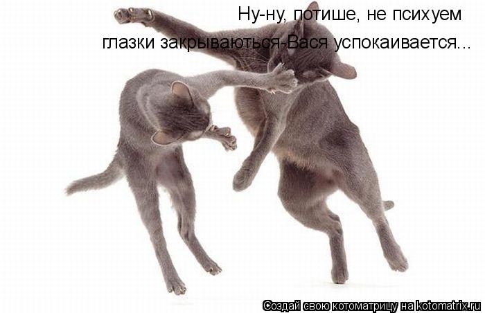 Котоматрица: Ну-ну, потише, не психуем глазки закрываються-Вася успокаивается...