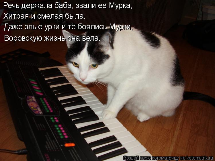 Речь держала баба, звали её Мурка, Хитрая и смелая была. Даже злые урки и те боялись Мурки, Воровс... Котоматрица: Речь держала баба, звали её Мурка, Хитрая и смелая была. Даже злые урки и те боялись Мурки, Воровскую жизнь она вела.