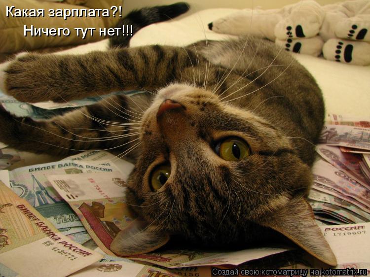 Котоматрица: Какая зарплата?!  Ничего тут нет!!!