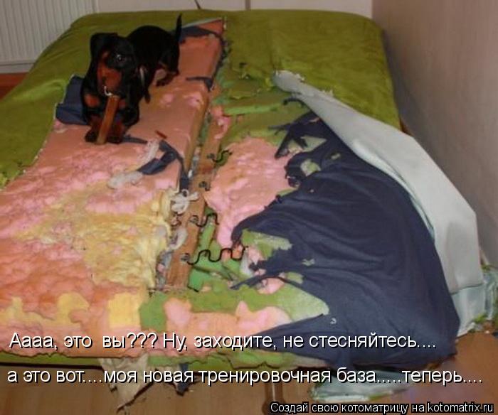 Котоматрица: а это вот....моя новая тренировочная база.....теперь....  Аааа, это  вы??? Ну, заходите, не стесняйтесь....