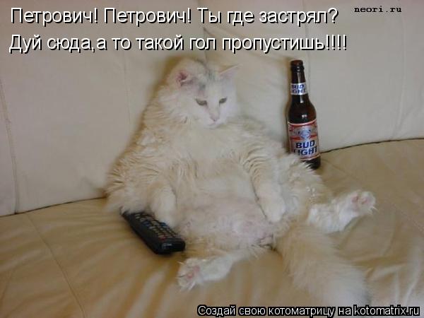 Котоматрица: Петрович! Петрович! Ты где застрял? Дуй сюда,а то такой гол пропустишь!!!!