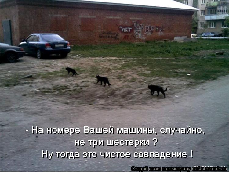 Котоматрица: - На номере Вашей машины, случайно, не три шестерки ? Ну тогда это чистое совпадение !