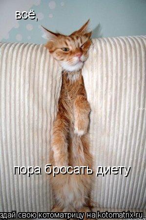 Котоматрица: всё,  пора бросать диету