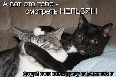 Котоматрица: А вот это тебе -  смотреть НЕЛЬЗЯ!!!