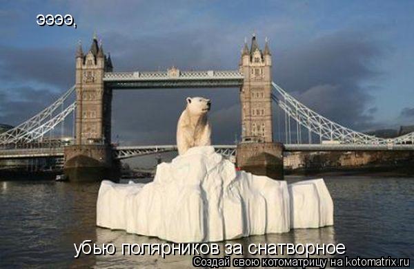 Котоматрица: ээээ, убью полярников за снатворное