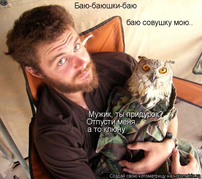 Котоматрица: Баю-баюшки-баю баю совушку мою.. Мужик, ты придурок?  а то клюну Отпусти меня,