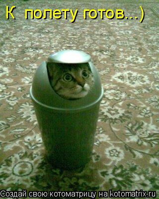 Котоматрица: К  полету готов...)