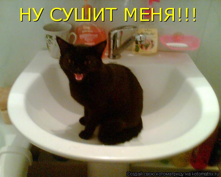 Котоматрица: НУ СУШИТ МЕНЯ!!!