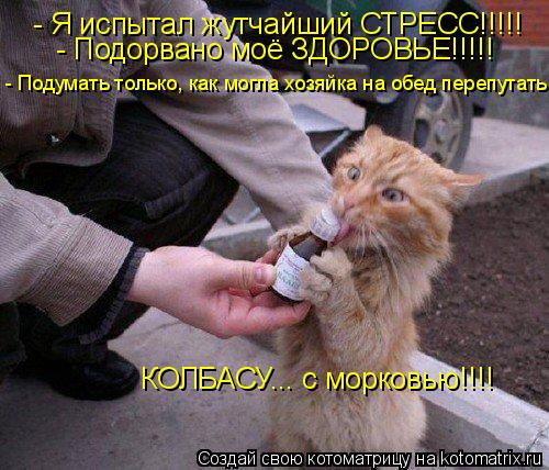 Котоматрица: - Я испытал жутчайший СТРЕСС!!!!! - Подорвано моё ЗДОРОВЬЕ!!!!! КОЛБАСУ... с морковью!!!! - Подумать только, как могла хозяйка на обед перепутать...