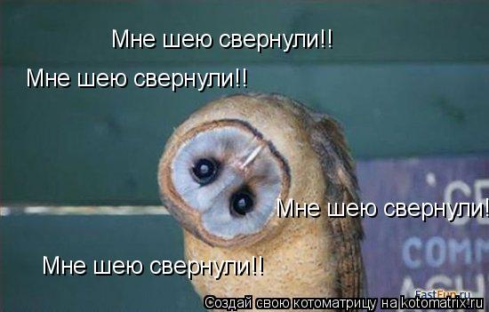 Котоматрица: Мне шею свернули!! Мне шею свернули!! Мне шею свернули!! Мне шею свернули!!