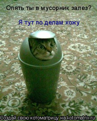 Опять ты в мусорник залез? Я тут по делам хожу... Котоматрица: Опять ты в мусорник залез? Я тут по делам хожу