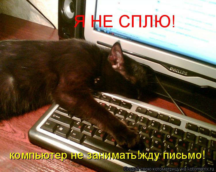 Я НЕ СПЛЮ! компьютер не занимать!жду письмо!... Котоматрица: Я НЕ СПЛЮ! компьютер не занимать!жду письмо!