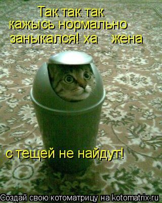 Так так так кажысь нормально заныкался! ха жена с тещей не найдут!... Котоматрица: Так так так кажысь нормально заныкался! ха жена с тещей не найдут!