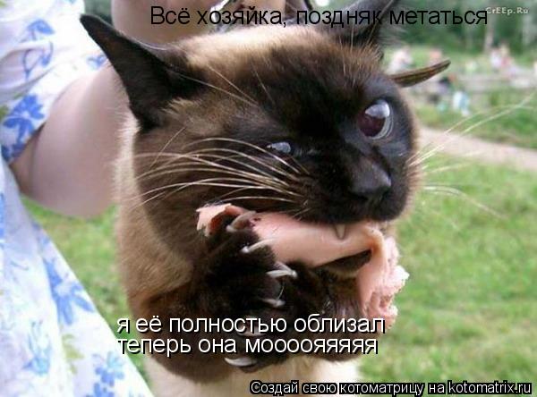 Всё хозяйка, поздняк метаться я её полностью облизал теперь она моооояяяяя... Котоматрица: Всё хозяйка, поздняк метаться я её полностью облизал теперь она моооояяяяя