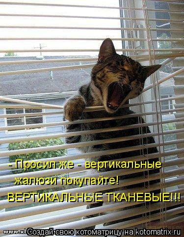 - Просил же - вертикальные жалюзи покупайте! ВЕРТИКАЛЬНЫЕ ТКАНЕВЫЕ!!!... Котоматрица: - Просил же - вертикальные жалюзи покупайте! ВЕРТИКАЛЬНЫЕ ТКАНЕВЫЕ!!!