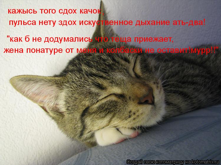 кажысь того сдох качок , пульса нету здох искуственное дыхание ать-два! "как б не додумались что теща... Котоматрица: кажысь того сдох качок , пульса нету здох искуственное дыхание ать-два! "как б не додумались что теща приежает, жена понатуре от меня и колба