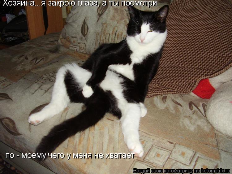 Хозяина...я закрою глаза, а ты посмотри по - моему чего у меня не хватает... Котоматрица: Хозяина...я закрою глаза, а ты посмотри по - моему чего у меня не хватает