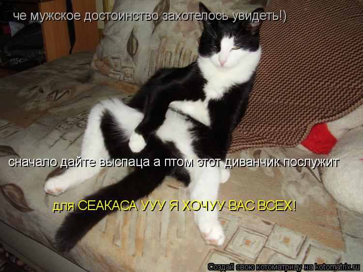 че мужское достоинство захотелось увидеть!) сначало дайте выспаца а птом этот диванчик послужит для С... Котоматрица: че мужское достоинство захотелось увидеть!) сначало дайте выспаца а птом этот диванчик послужит для СЕАКАСА УУУ Я ХОЧУУ ВАС ВСЕХ!