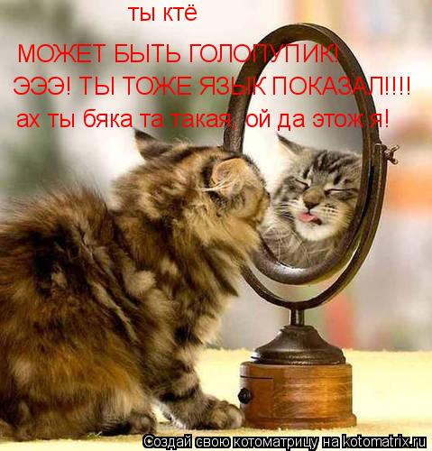 Котоматрица: МОЖЕТ БЫТЬ ГОЛОПУПИК! ЭЭЭ! ТЫ ТОЖЕ ЯЗЫК ПОКАЗАЛ!!!! ах ты бяка та такая, ой да этож я! ты ктё