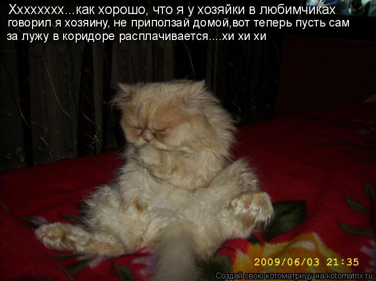 Хххххххх...как хорошо, что я у хозяйки в любимчиках говорил я хозяину, не приползай домой,вот теперь ... Котоматрица: Хххххххх...как хорошо, что я у хозяйки в любимчиках говорил я хозяину, не приползай домой,вот теперь пусть сам за лужу в коридоре расплачива