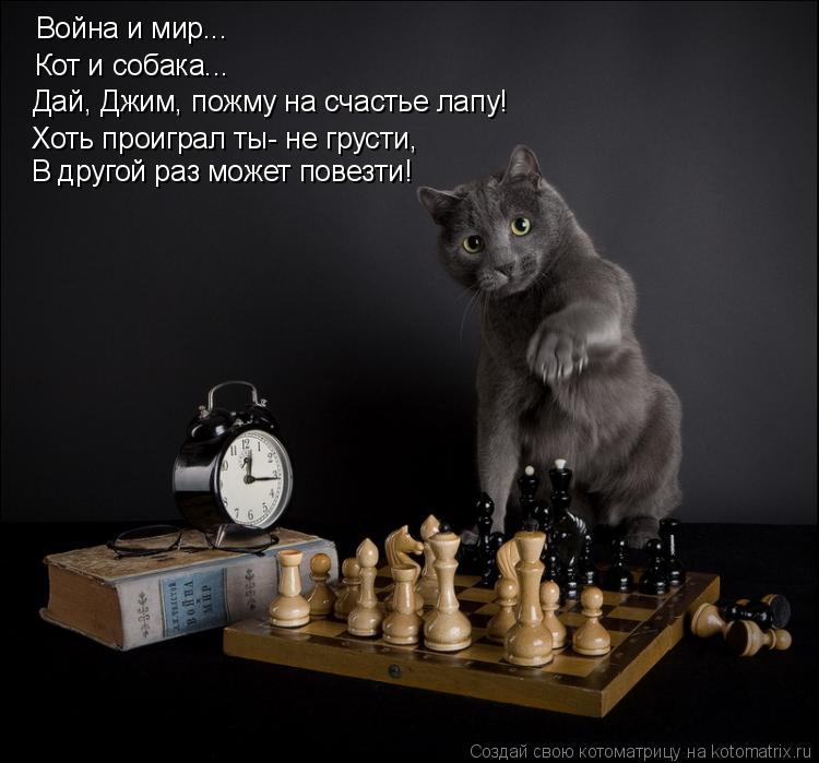 Война и мир... Кот и собака... Дай, Джим, пожму на счастье лапу! Хоть проиграл ты- не грусти, В друго... Котоматрица: Война и мир... Кот и собака... Дай, Джим, пожму на счастье лапу! Хоть проиграл ты- не грусти, В другой раз может повезти!