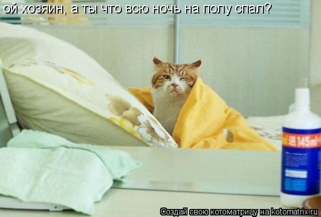 Котоматрица: ой хозяин, а ты что всю ночь на полу спал?