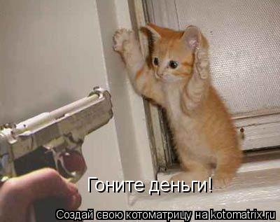 Котоматрица: Гоните деньги!