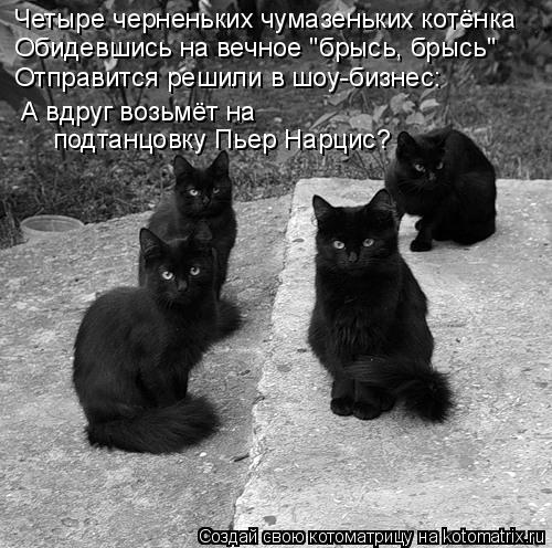 Котоматрица: Четыре черненьких чумазеньких котёнка  Обидевшись на вечное "брысь, брысь" Отправится решили в шоу-бизнес: А вдруг возьмёт на  подтанцовку П