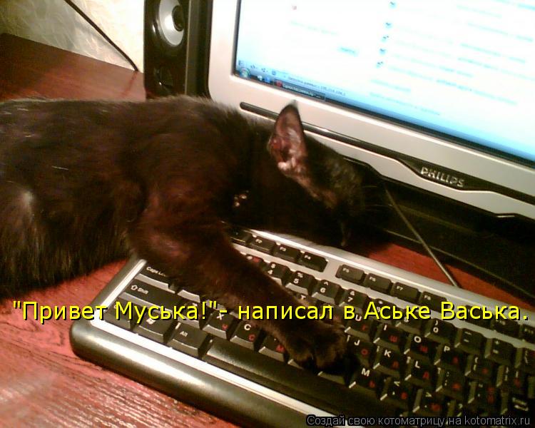 "Привет Муська!"- написал в Аське Васька.... Котоматрица: "Привет Муська!"- написал в Аське Васька.