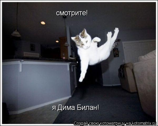 смотрите! я Дима Билан!... Котоматрица: смотрите! я Дима Билан!