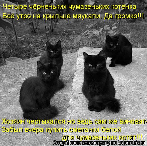 Котоматрица: Четыре чёрненьких чумазеньких котёнка Всё утро на крыльце мяукали. Да громко!!! Хозяин чертыхался,но ведь сам же виноват- Забыл вчера купить