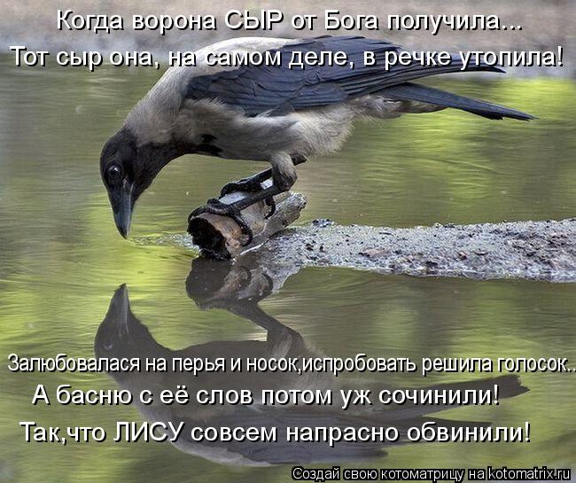 Тот сыр она, на самом деле, в речке утопила! Залюбовалася на перья и носок,испробовать решила голосок... Котоматрица: Тот сыр она, на самом деле, в речке утопила! Залюбовалася на перья и носок,испробовать решила голосок.. А басню с её слов потом уж сочинили! Та