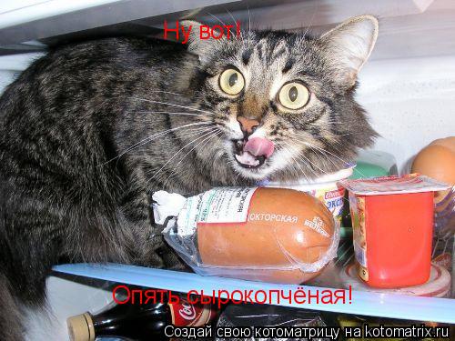 Котоматрица: Ну вот! Опять сырокопчёная!