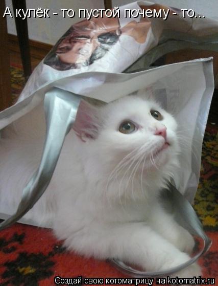 Котоматрица: А кулёк - то пустой почему - то...