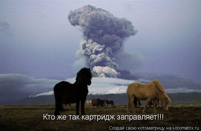 Кто же так картридж заправляет!!!... Котоматрица: Кто же так картридж заправляет!!!