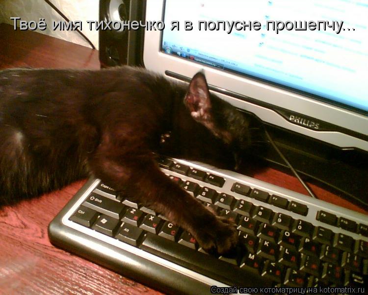 Котоматрица: Твоё имя тихонечко я в полусне прошепчу...