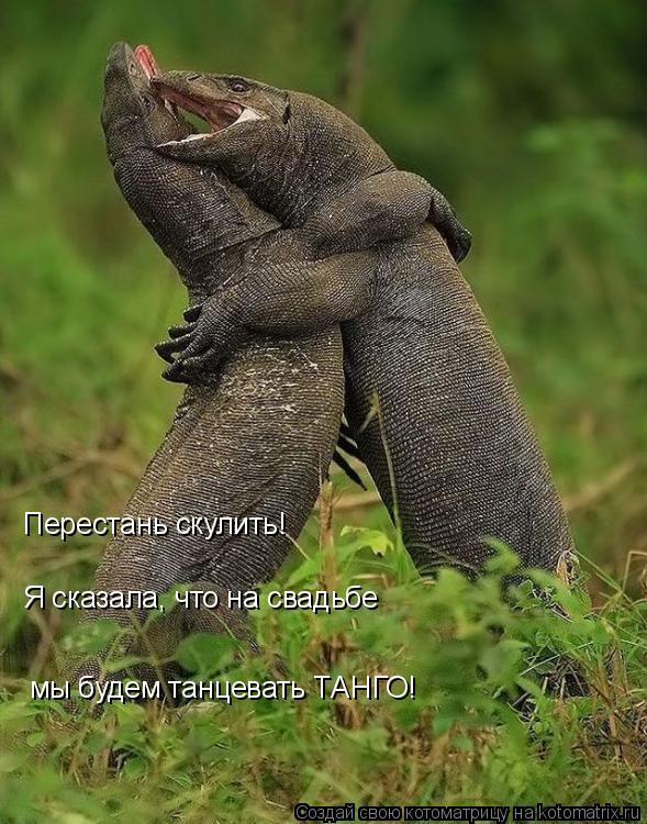 Котоматрица: Перестань скулить! Я сказала, что на свадьбе мы будем танцевать ТАНГО!