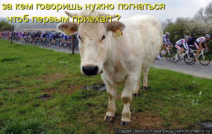 Котоматрица: за кем говоришь нужно погнаться   чтоб первым приехал ?