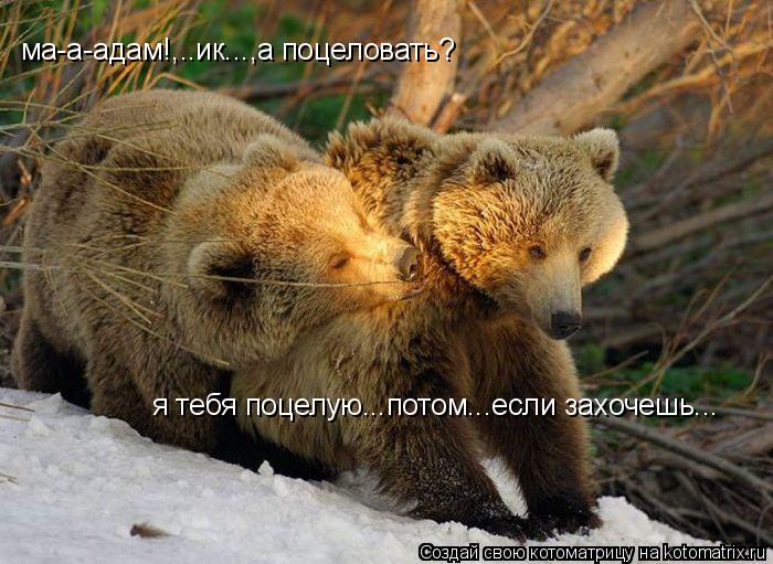 Котоматрица: я тебя поцелую...потом...если захочешь... ма-а-адам!,..ик...,а поцеловать?