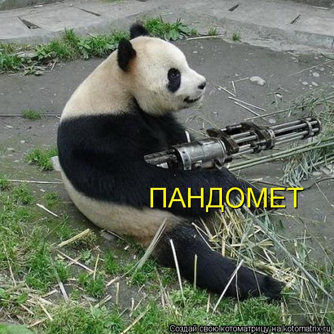 Котоматрица: ПАНДОМЕТ