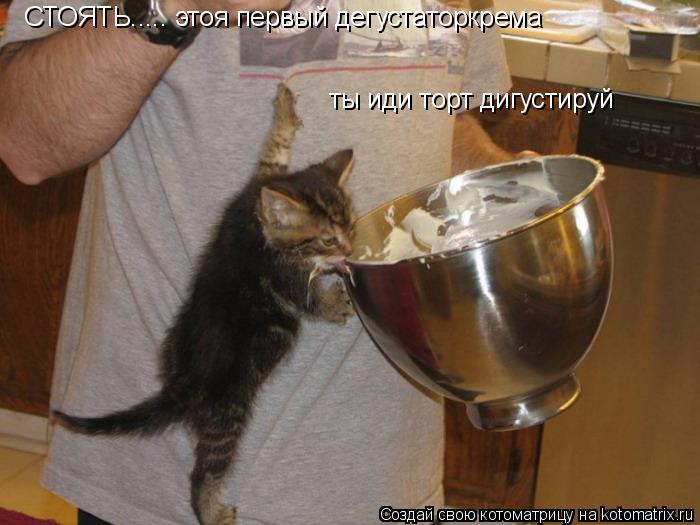 Котоматрица: СТОЯТЬ..... этоя первый дегустаторкрема ты иди торт дигустируй