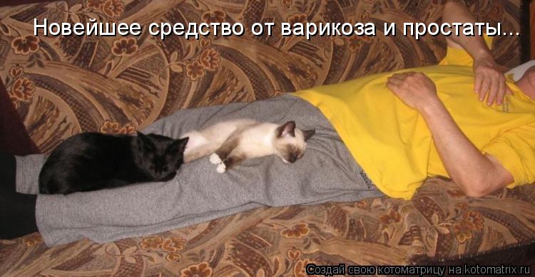 Котоматрица: Новейшее средство от варикоза и простаты...