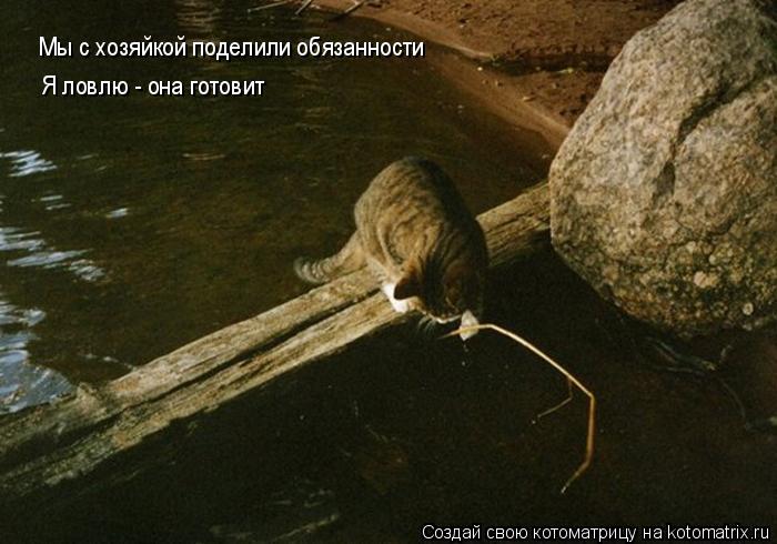 Котоматрица: Мы с хозяйкой поделили обязанности Я ловлю - она готовит
