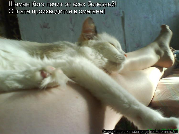 Шаман Котэ лечит от всех болезней! Шаман Котэ лечит от всех болезней! Оплата производится в сметане... Котоматрица: Шаман Котэ лечит от всех болезней! Шаман Котэ лечит от всех болезней! Оплата производится в сметане!